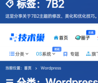 [7B2主题美化]在分类或者标签页面加个好看模块