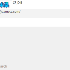 Ditto开源免费的Windows剪贴板增强工具神器